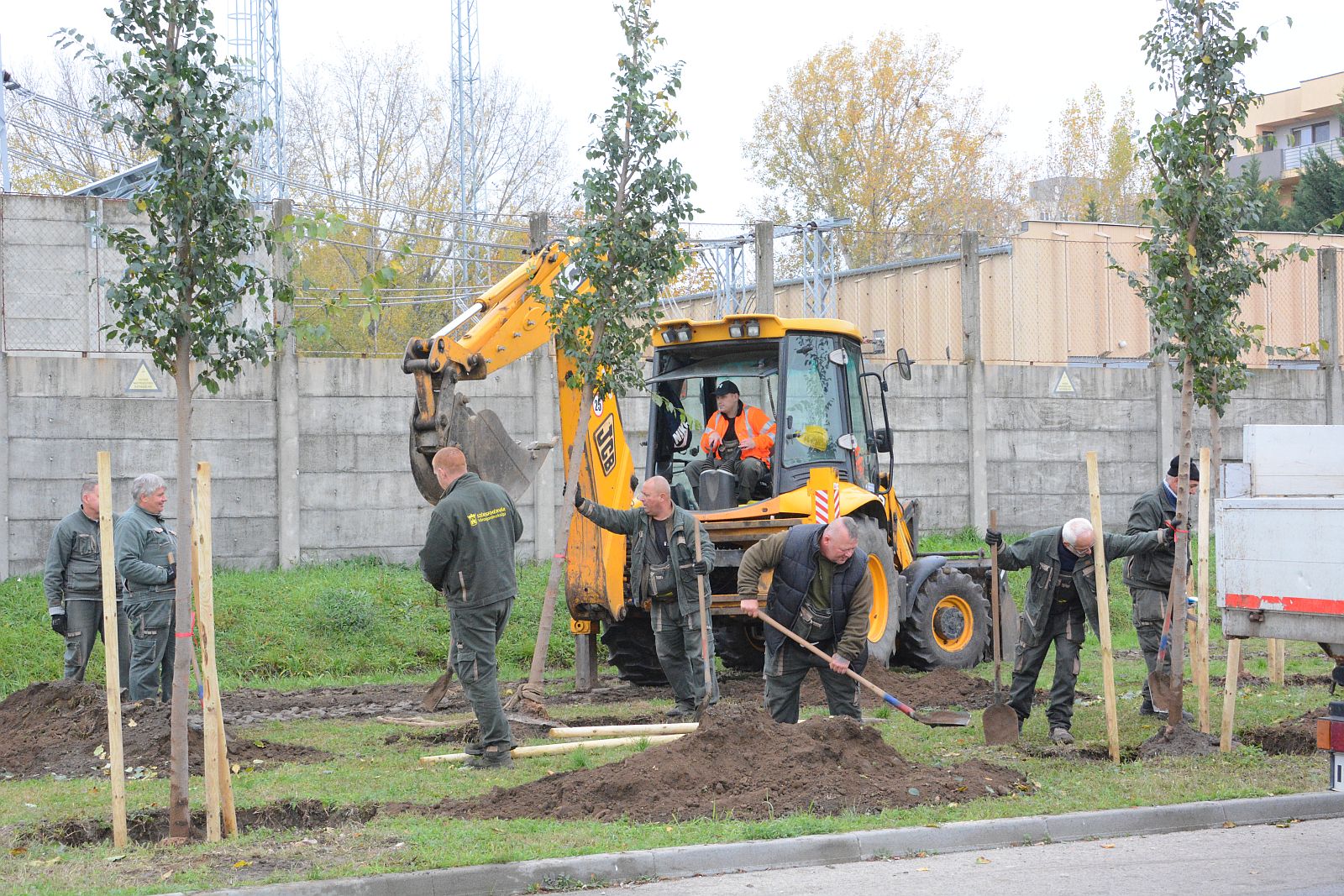 25 év 25 fa - pusztaszileket ültettek a Palotavárosi tavak mellett